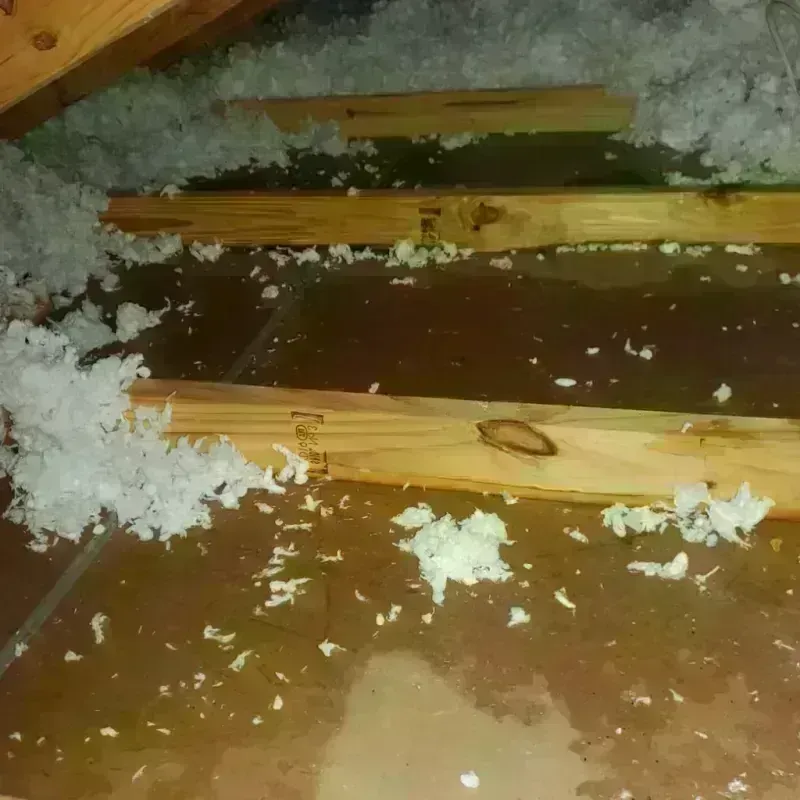 Attic Water Damage in Montgomery County, VA