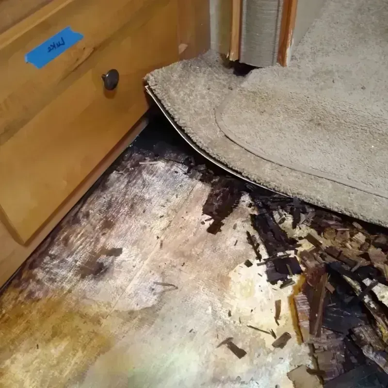 Wood Floor Water Damage in Montgomery County, VA